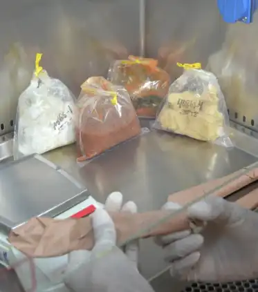 https://lacesa.com/wp-content/uploads/2025/12/alimentos-2.webp